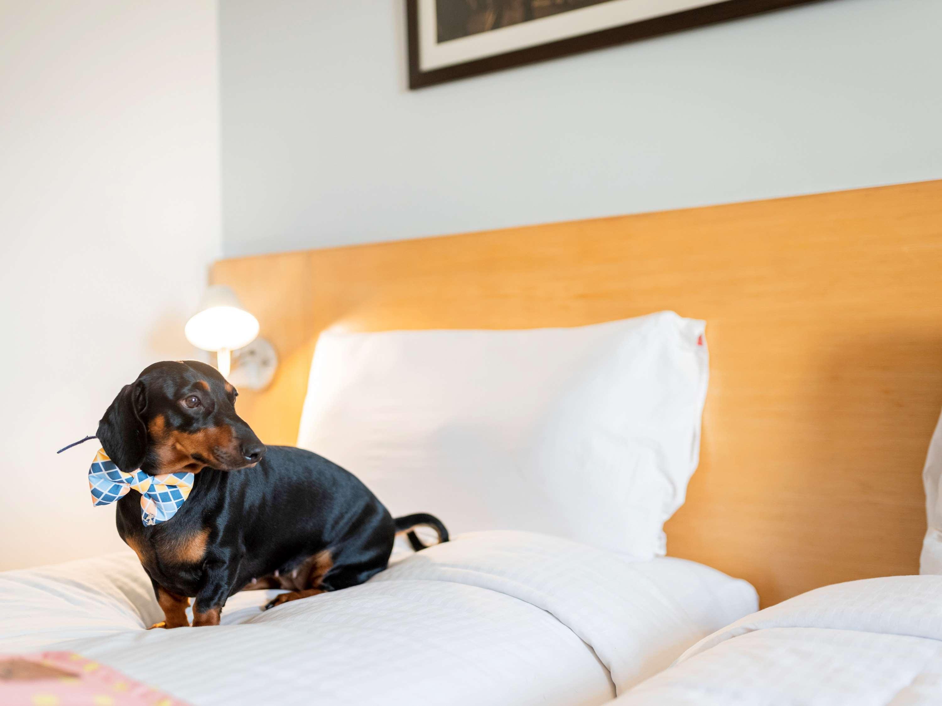 Ibis Gurgaon Golf Course Road - An Accor Brand Hotel ภายนอก รูปภาพ