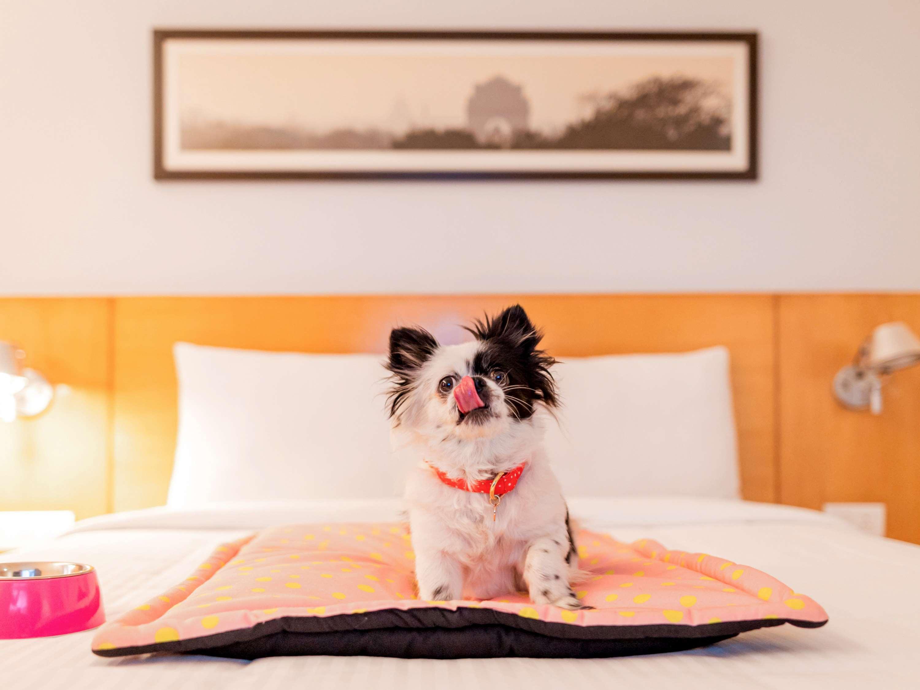 Ibis Gurgaon Golf Course Road - An Accor Brand Hotel ภายนอก รูปภาพ