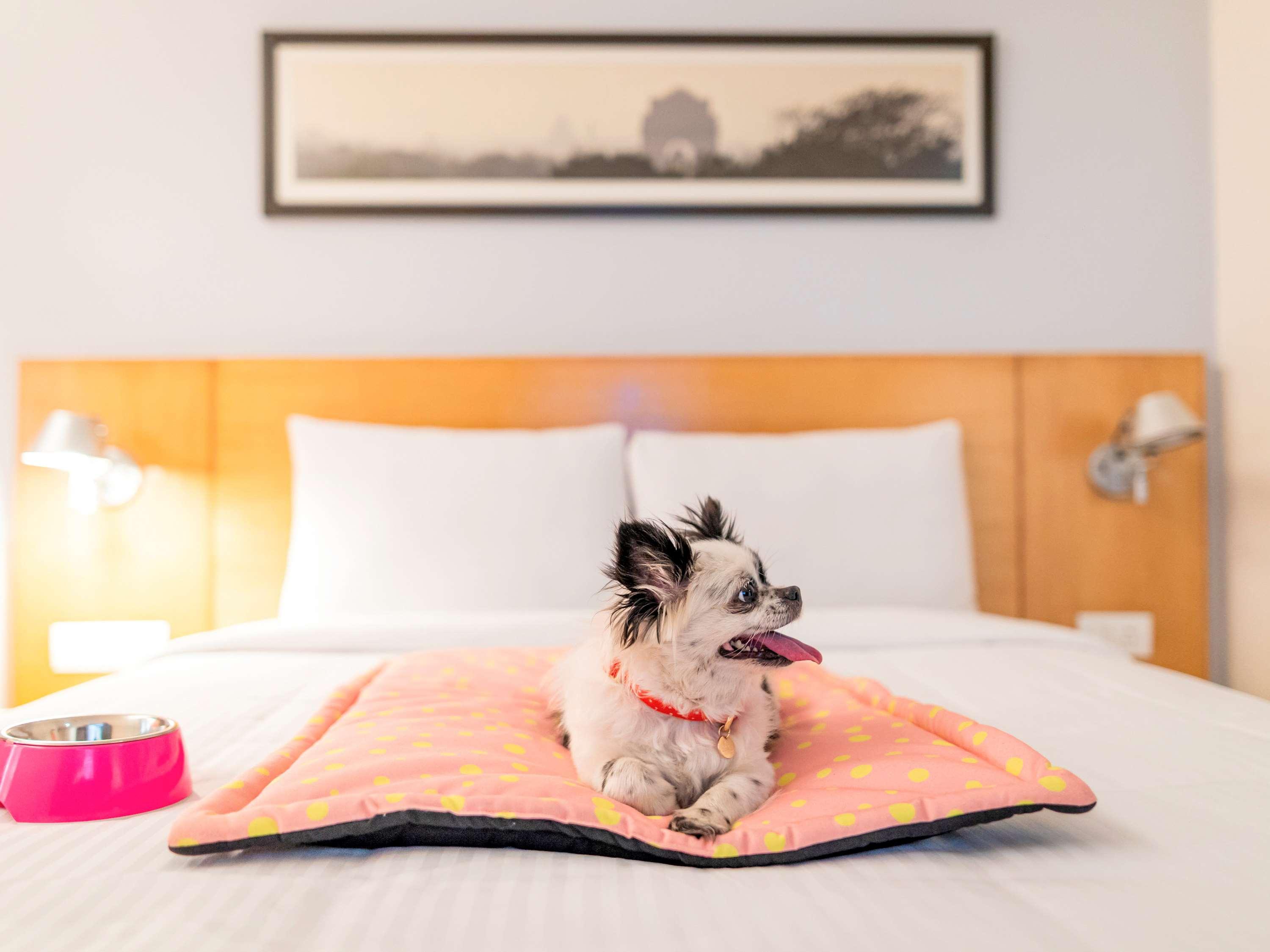Ibis Gurgaon Golf Course Road - An Accor Brand Hotel ภายนอก รูปภาพ